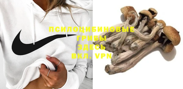 прущая мука Горно-Алтайск