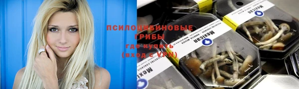 прущая мука Горно-Алтайск