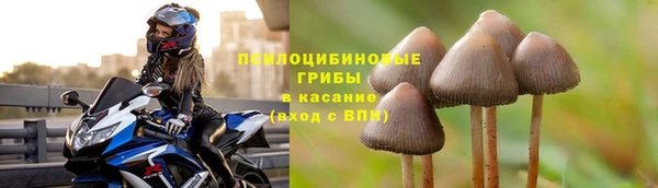герыч Горняк