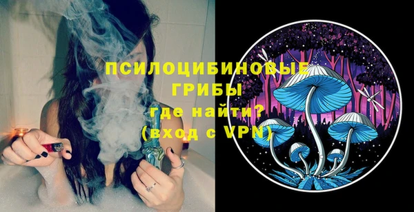 гашик Горнозаводск