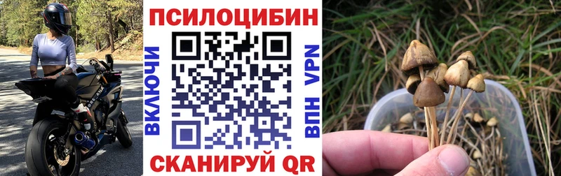Купить где  Арзамас  Галлюциногенные грибы MAGIC MUSHROOMS 